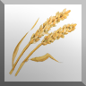 Link to seedandbread.org